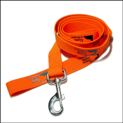 Thick polyester colorful custom design logo vegan dog leash suppliers