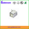 Gold plated USB2.0 type B connector female type with DIP right angle