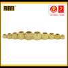FRIEVER brass forging nuts/brass forged nuts
