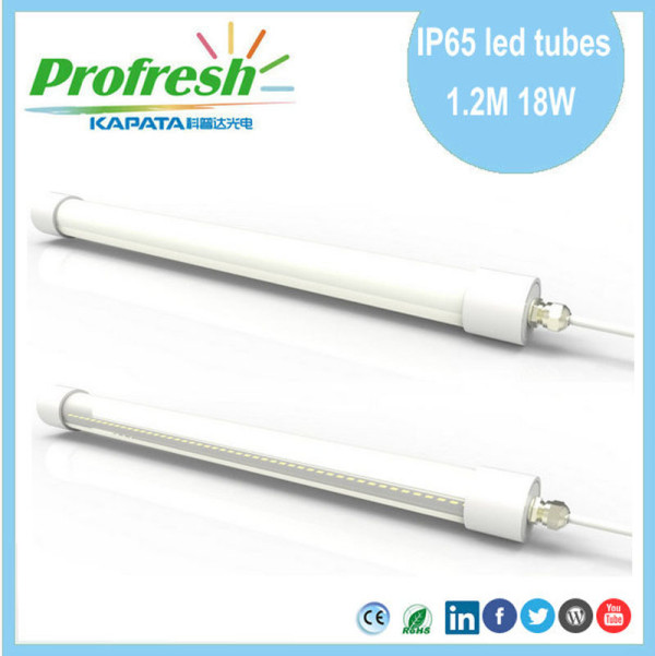 1200mm LED T8 tube light IP65 DC12V/AC85-265V for freezer, refrigeration
