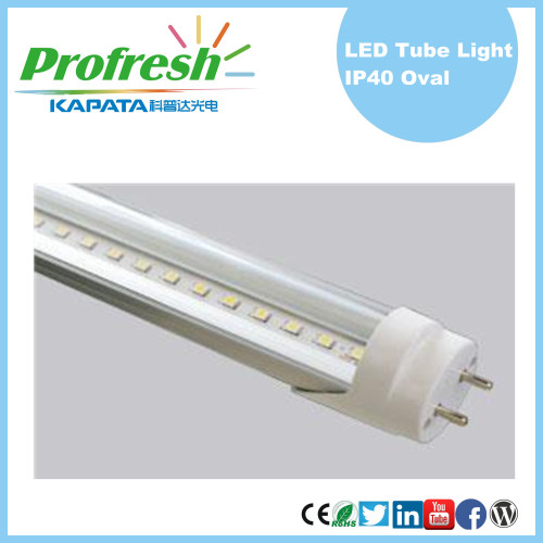 customized unique Ra>80 LED 1200mm T8 Tubes with CE RoHS