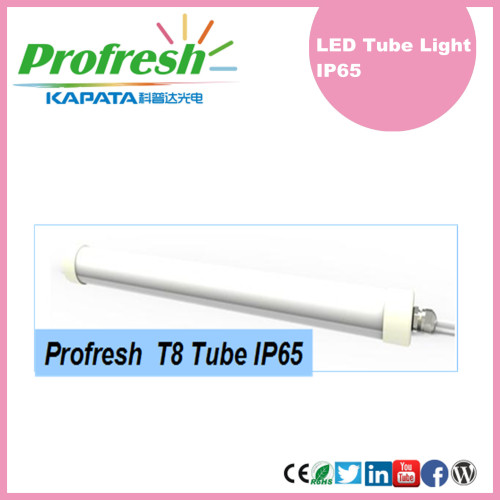 Luz del tubo de 1200m m LED T8 IP65 DC12V / AC85-265V para el congelador, refrigeración