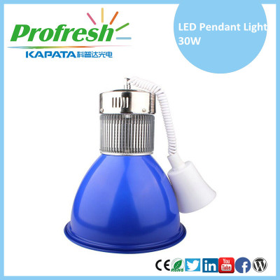 30W LED pendant light modern pendant light for supermarket lighting with customized lighting colors and CE & ROHS approved