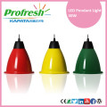 LED high bay lighting 30W led pendant light supermarket pendant lighting