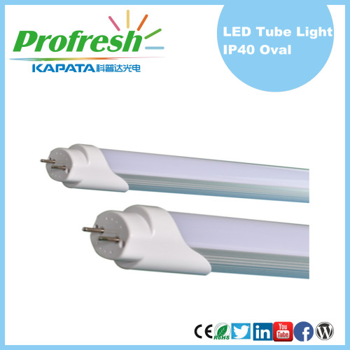 Energy saving Ra>80 600mm LED T8 Tubes with CE RoHS for supermarket display lighting