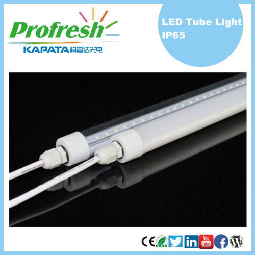 Fresh Low Radiation 600mm IP65 cooler display LED tube light