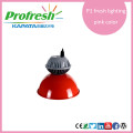10w hot selling longlife profresh pendant light