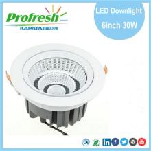 30 Watts 6 inch Profresh ceiling light for retail store led downlight