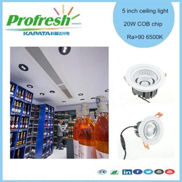 5 inch 20 Watts COB chip Profresh ceiling light for wine or dairy lighting led downlight