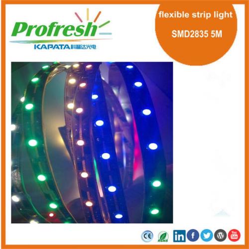 Luz de tira flexible profesional de 5M SMD2835 DC12V para la iluminación de carnes, productos de panadería, charcutería, verde o lácteos