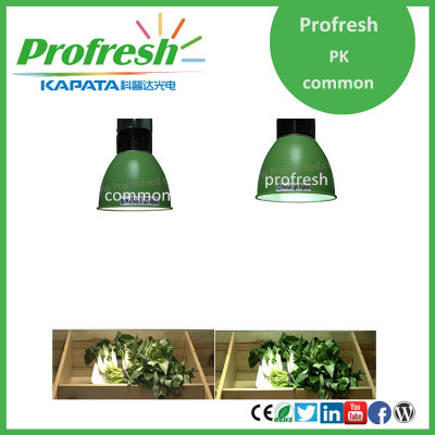 Profresh 40w led pendant, hanging fresh food pendant lighting,2015 new led supermarket light