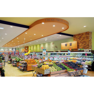 5 inch 20 Watts COB chip Profresh ceiling light for wine or dairy lighting led downlight