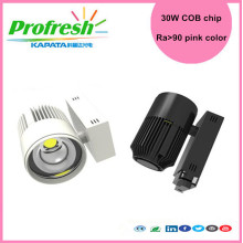 30W COB chip track light pink color for meat display lighting fresh meat store supermarket