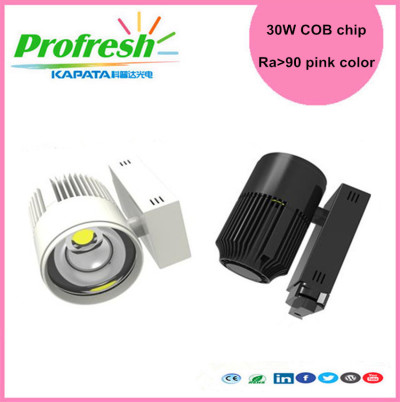 30W COB chip track light pink color for meat display lighting fresh meat store supermarket