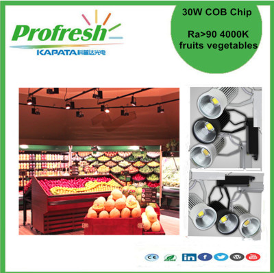 30W COB chip track light 4000k for fruits or vegetables display lighting green produce store supermarket