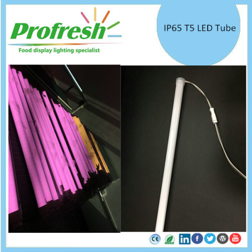 Tubo LED Profresh IP65 T5 para carnicería