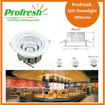 15 Watts COB chip 4 inch Profresh ceiling light for bakery and dessert  lighting led downlight