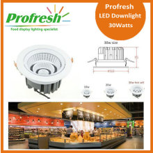 Profresh tailored ceiling down light 30Watts CRI>90 for food lighting