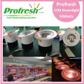 Azotea de techo a medida Profresh 50Watts CRI> 90 para iluminación de alimentos