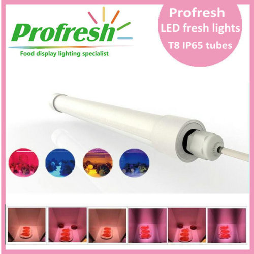 PROFRESH NEW FRESH LIGHT SYSTEM FOR FOOD APPLICATION