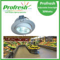 Profresh adjustable ceiling down light 30Watts CRI>90 for food lighting