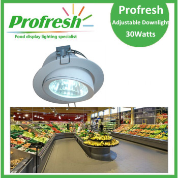 Profresh adjustable ceiling down light 30Watts CRI>90 for food lighting