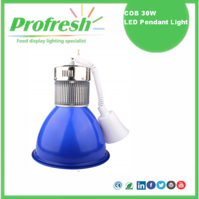 30Watts hot selling profresh food display pendant light