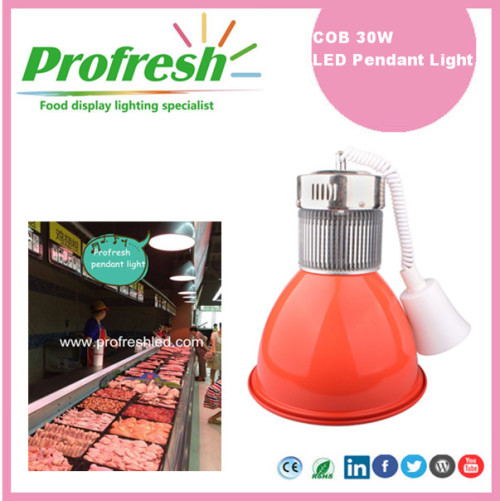 LED alta bahía iluminación 30Watts COB luz colgante supermercado carne pantalla