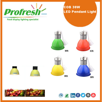 LED high bay lighting 30Watts COB pendant light supermarket meat display