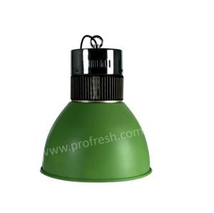 30w led pendant light with green color for vegetables , fruits ...