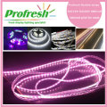 DC12V DC24V IP65 waterproof flexible strip light for food application