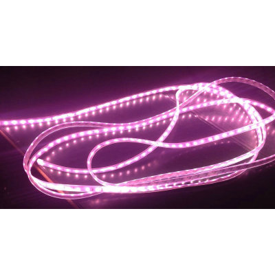 DC12V DC24V IP65 waterproof flexible strip light for food application
