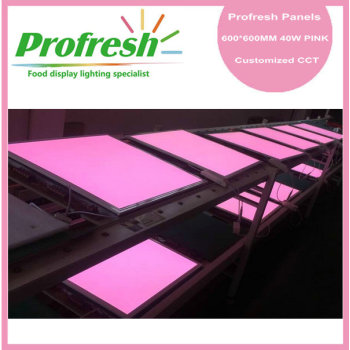 Profresh 40W pink led panel light for food application