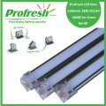 1160mm 18W DC24V RA>90 profresh food display lightings for Green customized 4000K CE/RoHS