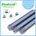 1460mm 22W DC24V RA>90 profresh food display lightings for Diary customized 6500K CE/RoHS