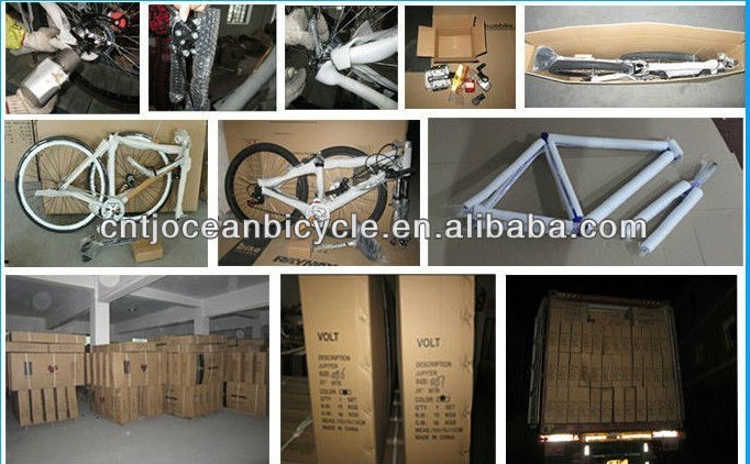 Basic Hot Alloy Bike OC-26018DA