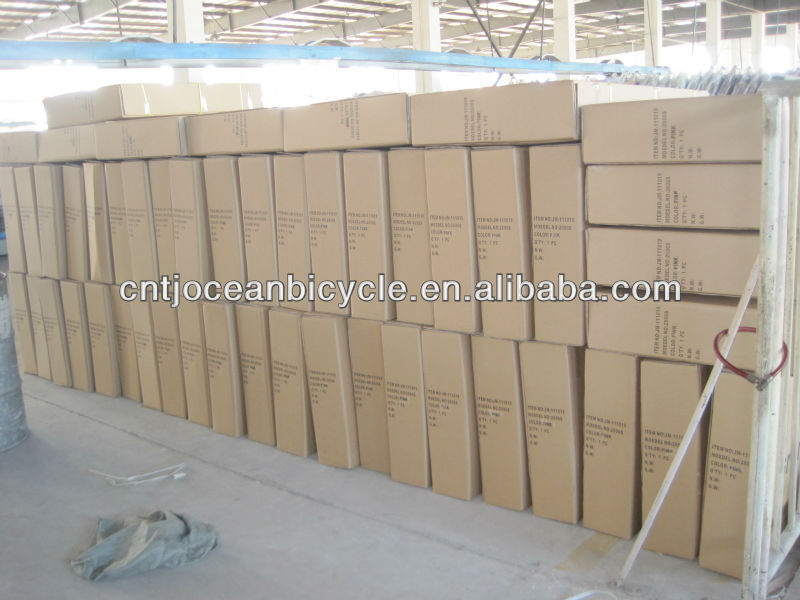 2014 Tianjin Newest Steel DIY Fixed Gear Bicycle OC-700C107S