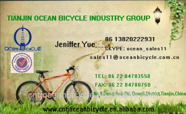 Popular Alloy Bike OC-26016DA
