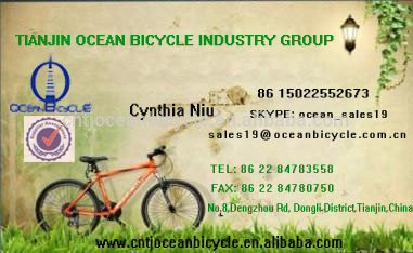 steel full suspension bicycle mountain bike