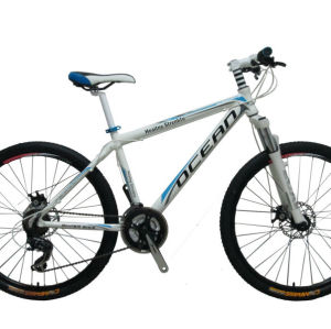 21 Speed sport mountai bicycle for sale