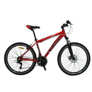 hot sale 21 speed mountain bicycle with low price