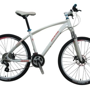 cheap and fine mtb bike for sale
