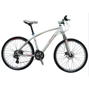 cheap and fine mtb bike for sale