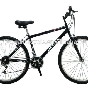 China 21 Speed Mountain Bike OC-26025S