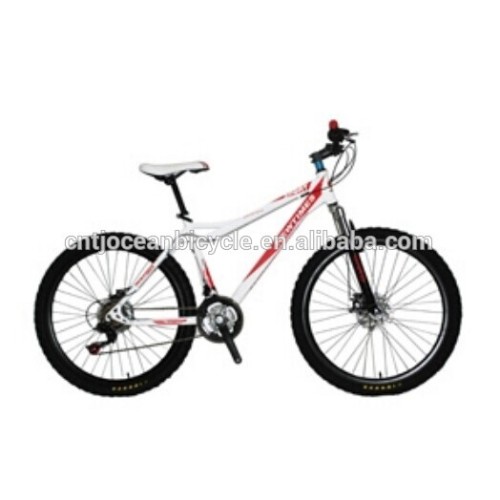 24 INCHES ALLOY FRAME 18 SPEED Mountain Bike