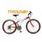 Folding Mountain Bike TY-FOLD-001
