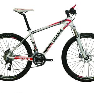 26 INCHES CARBON FIBER MOUNTAIN BIKE  FOR SALES