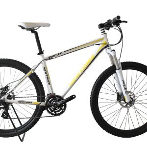 29 INCHES ALLOY FRAME PIONEER MOUNTAIN BIKE