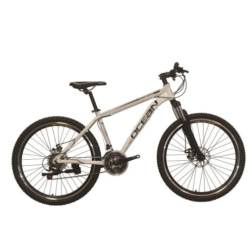Hot selling 26 inch Alloy mtb bike OC-M26119DA