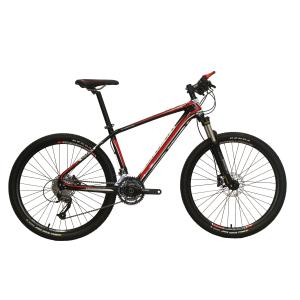 ALLOY FRAME AND FORK MTB For Sales